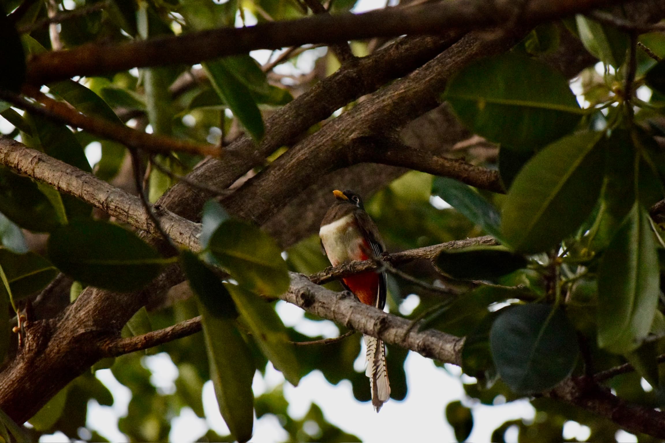 Costa Rica