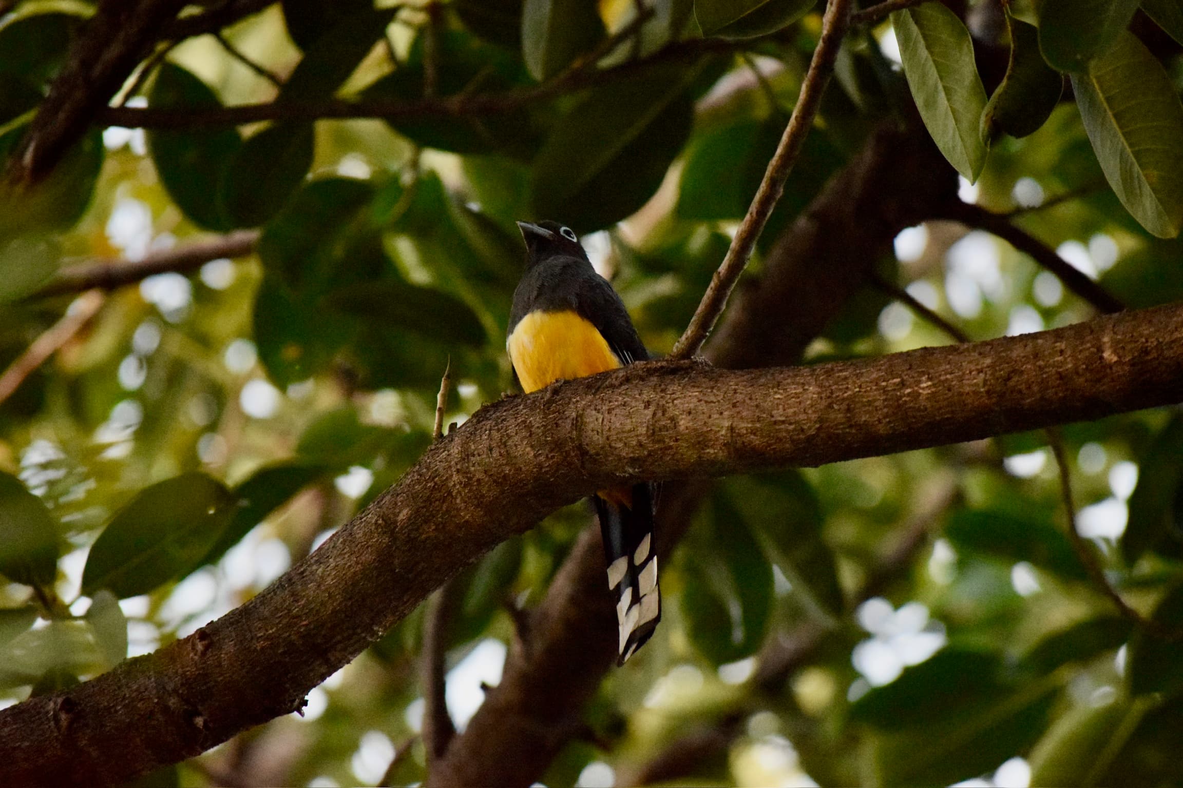 Costa Rica