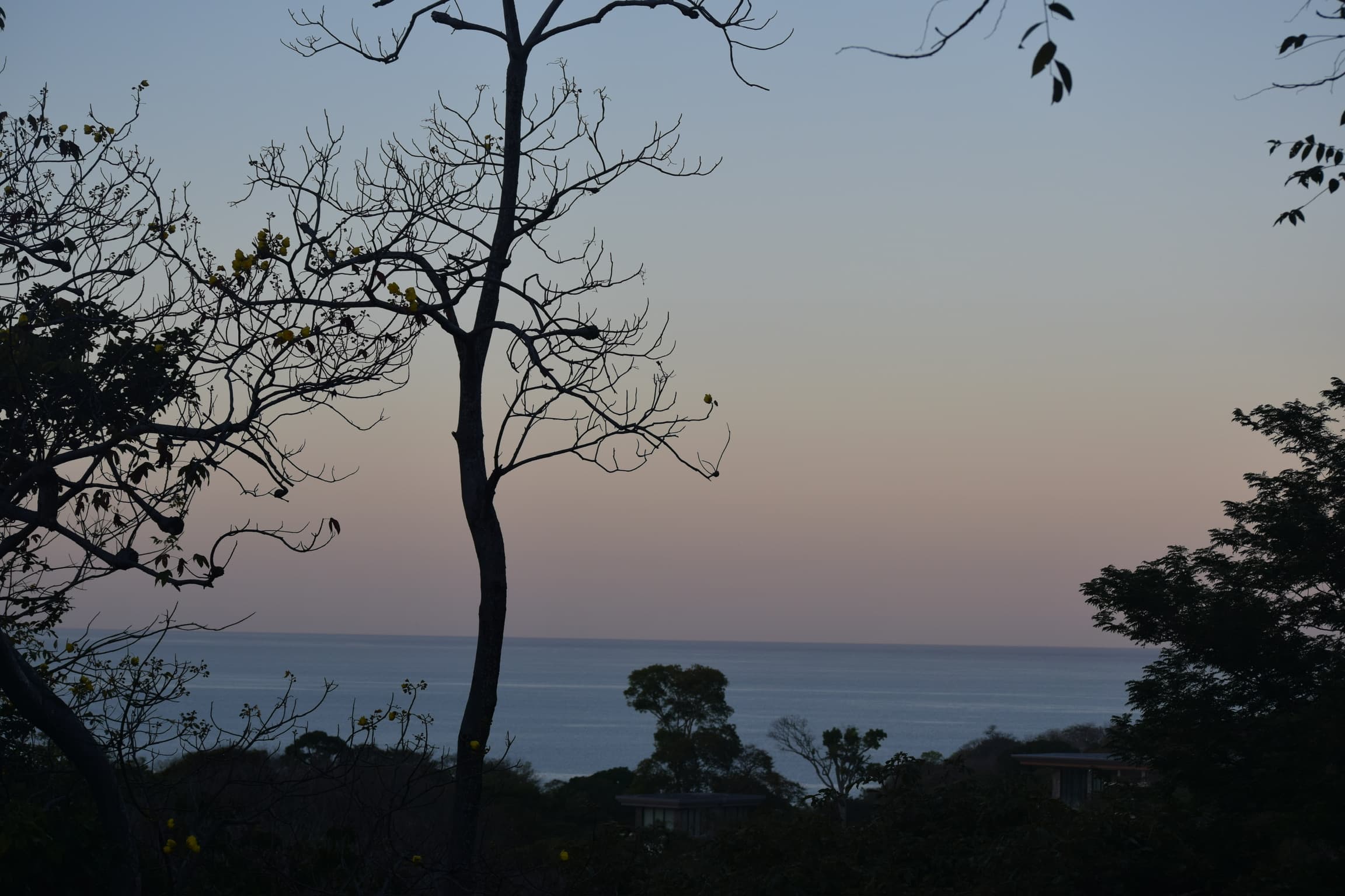 Landscapes