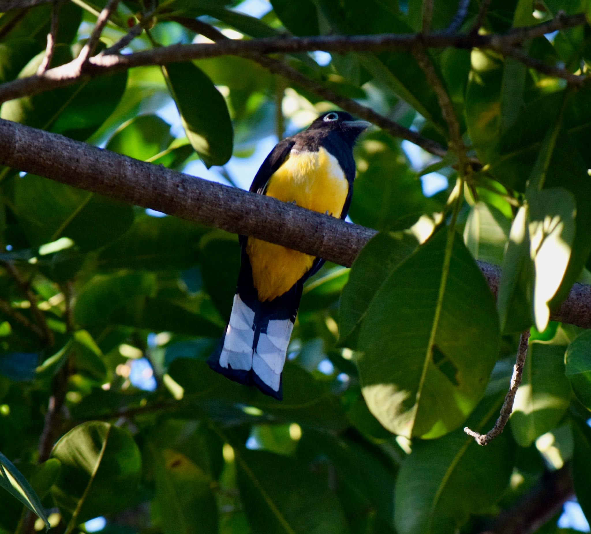 Costa Rica