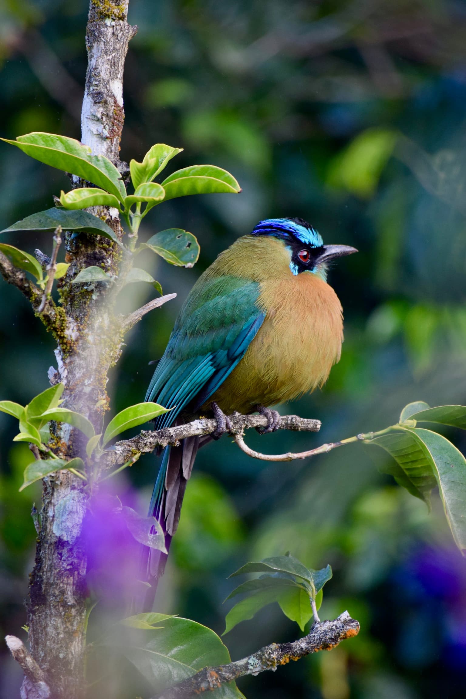 Costa Rica
