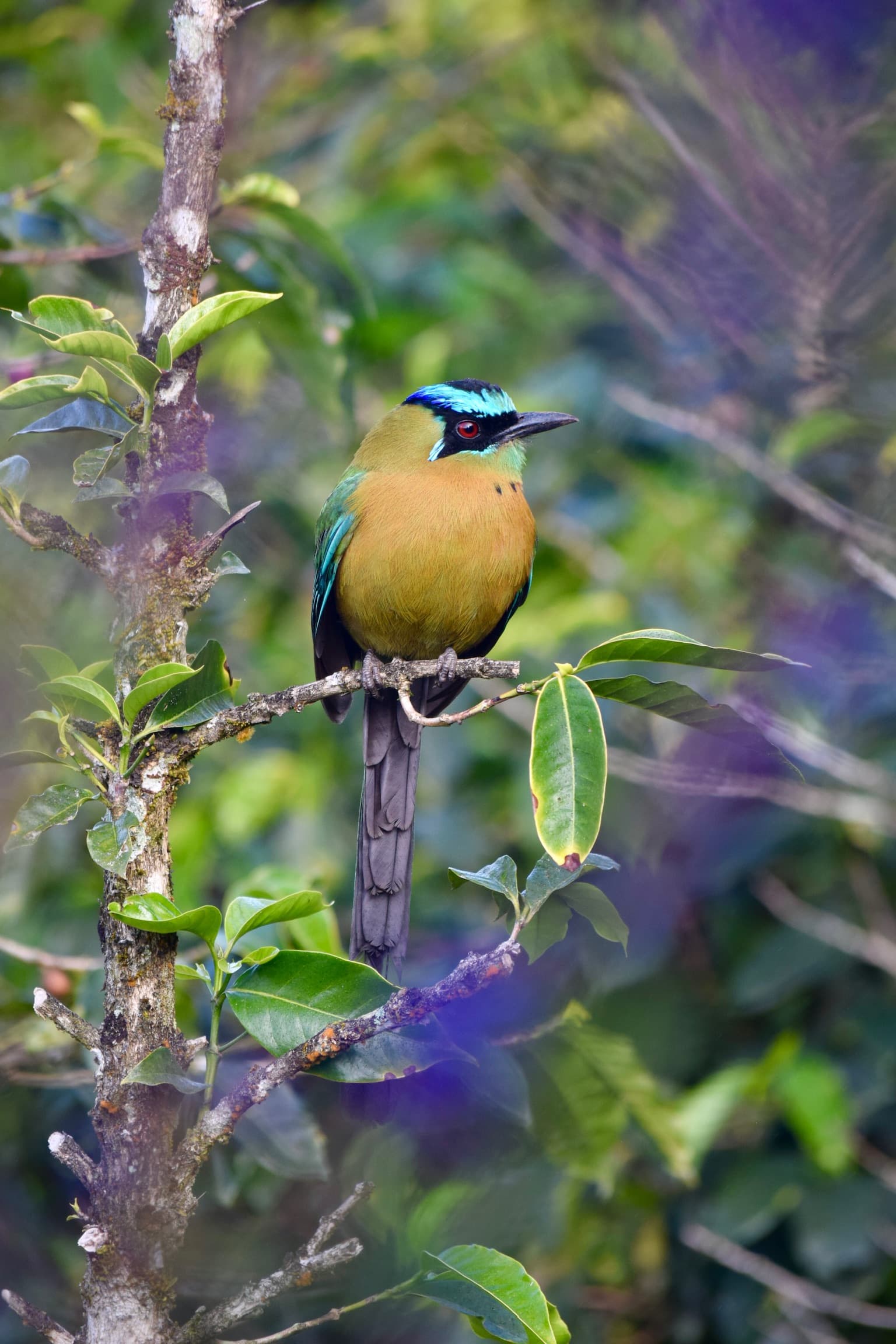 Costa Rica