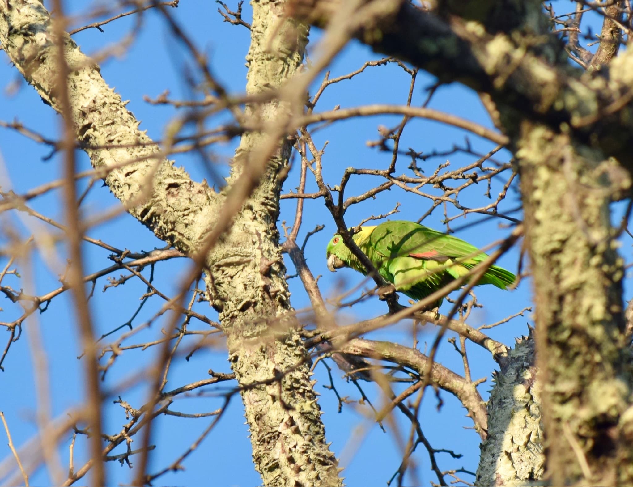 Costa Rica