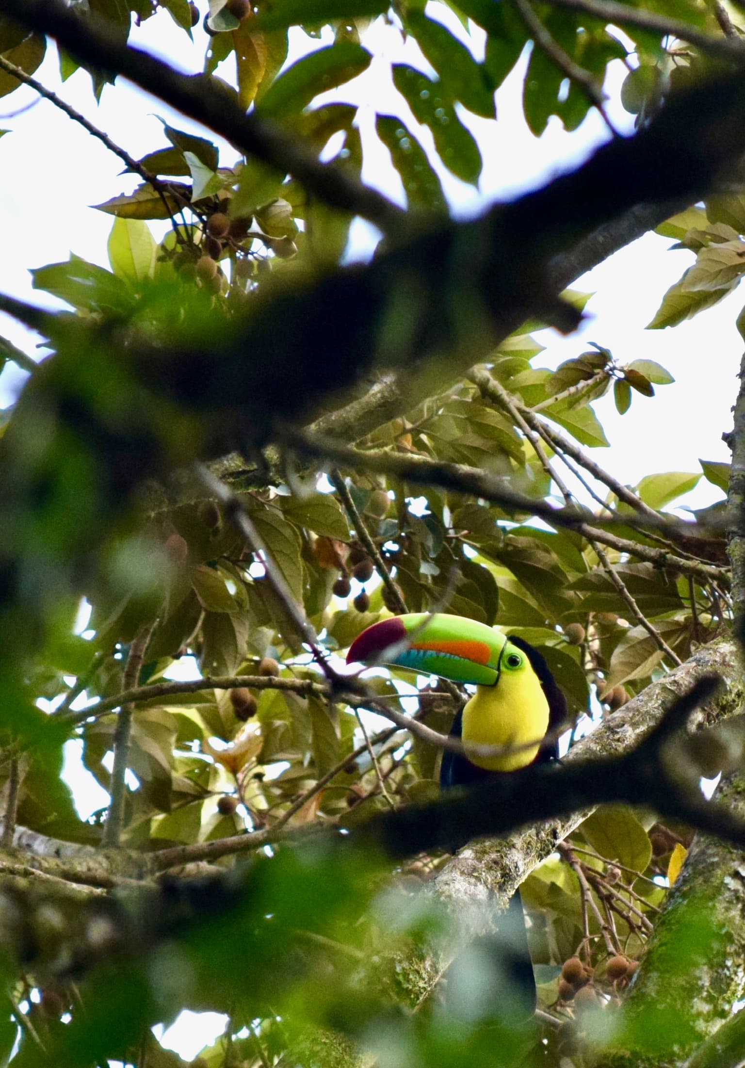 Costa Rica