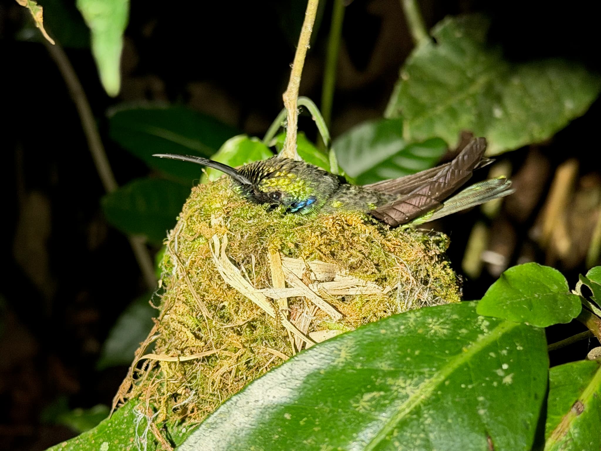 Costa Rica