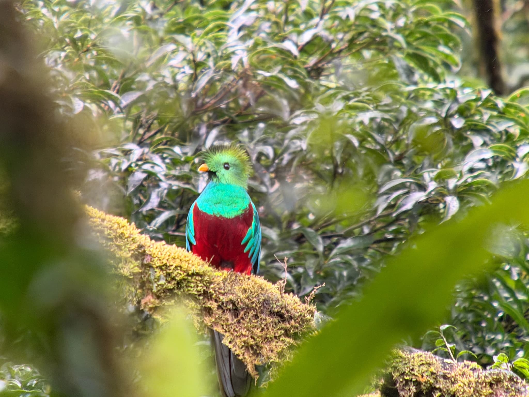Costa Rica