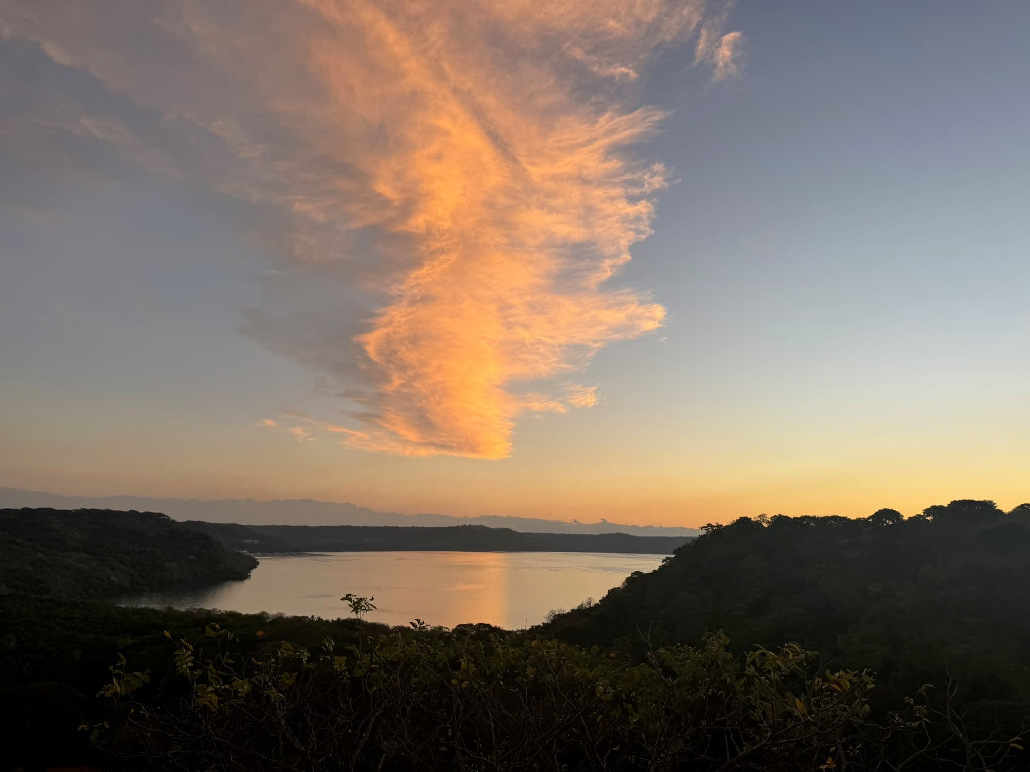 Landscapes