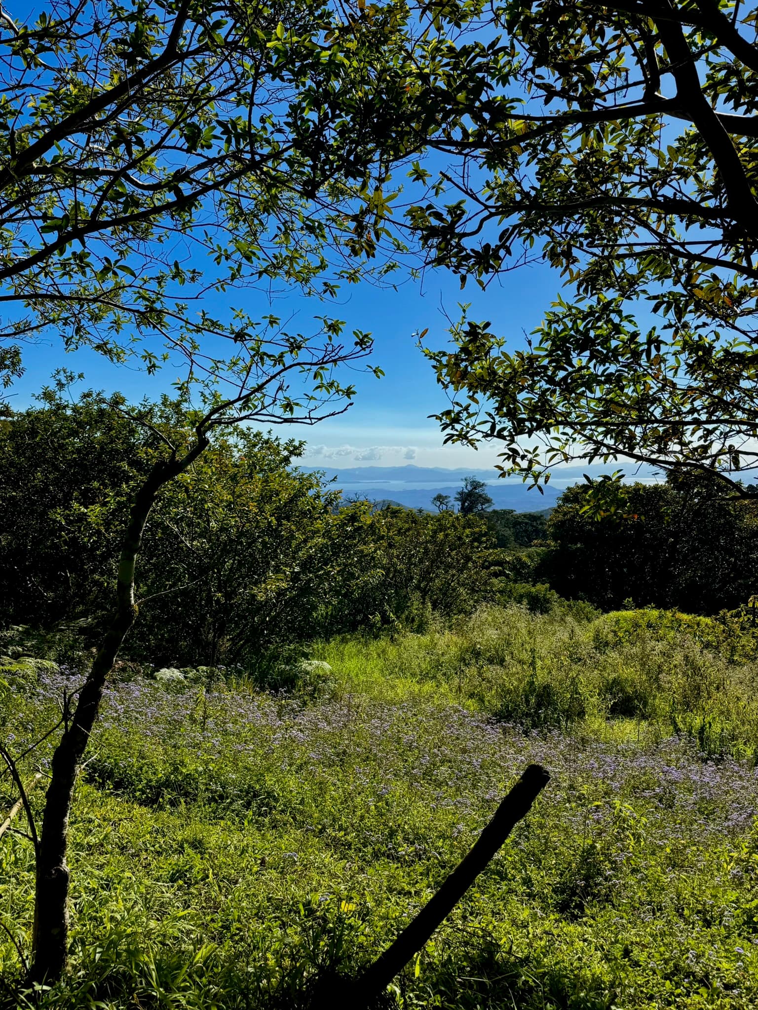 Landscapes