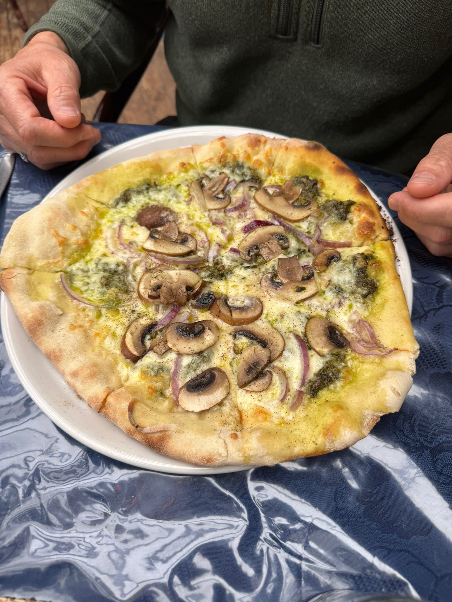 Mushroom pizza