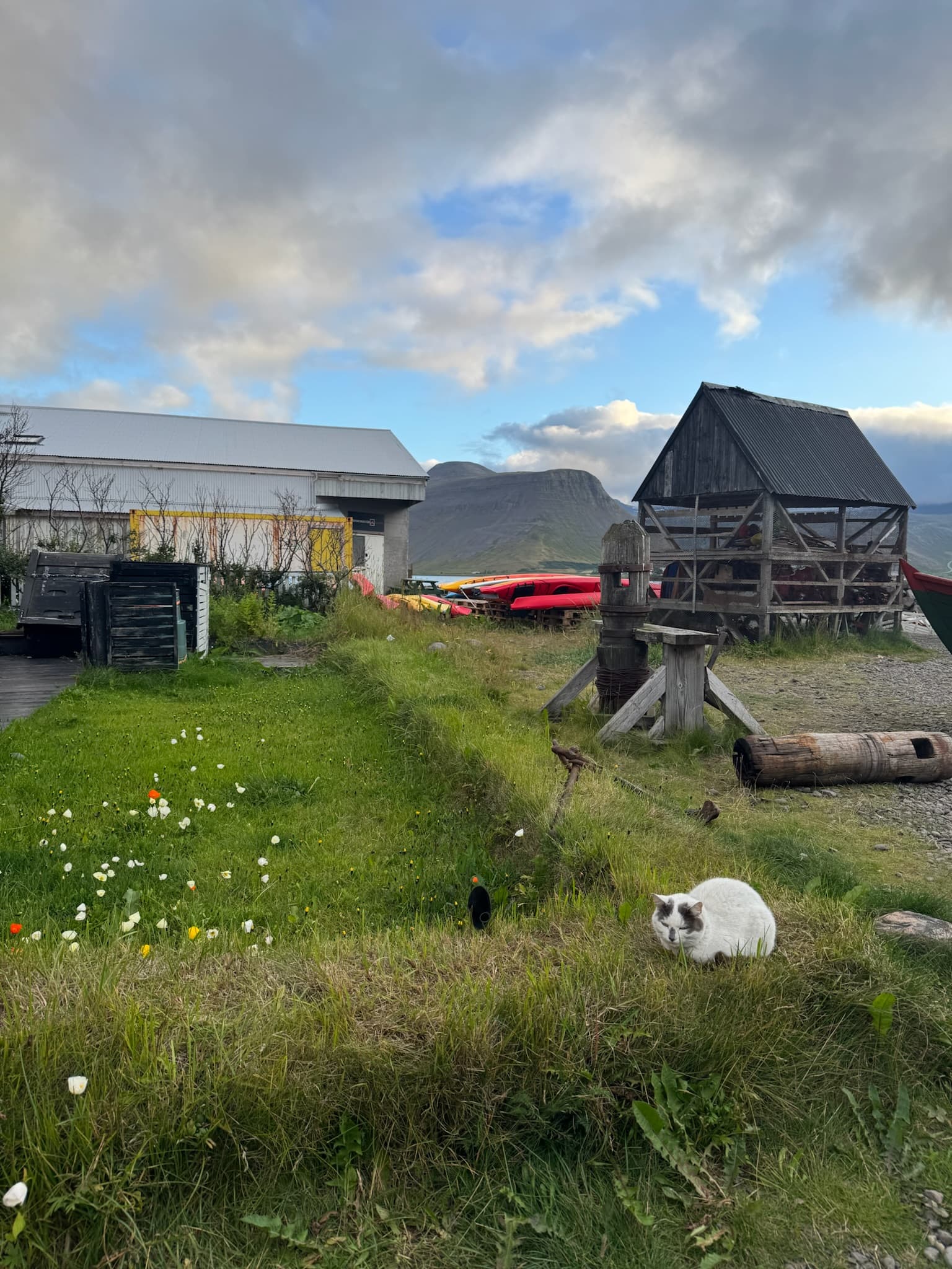 Iceland