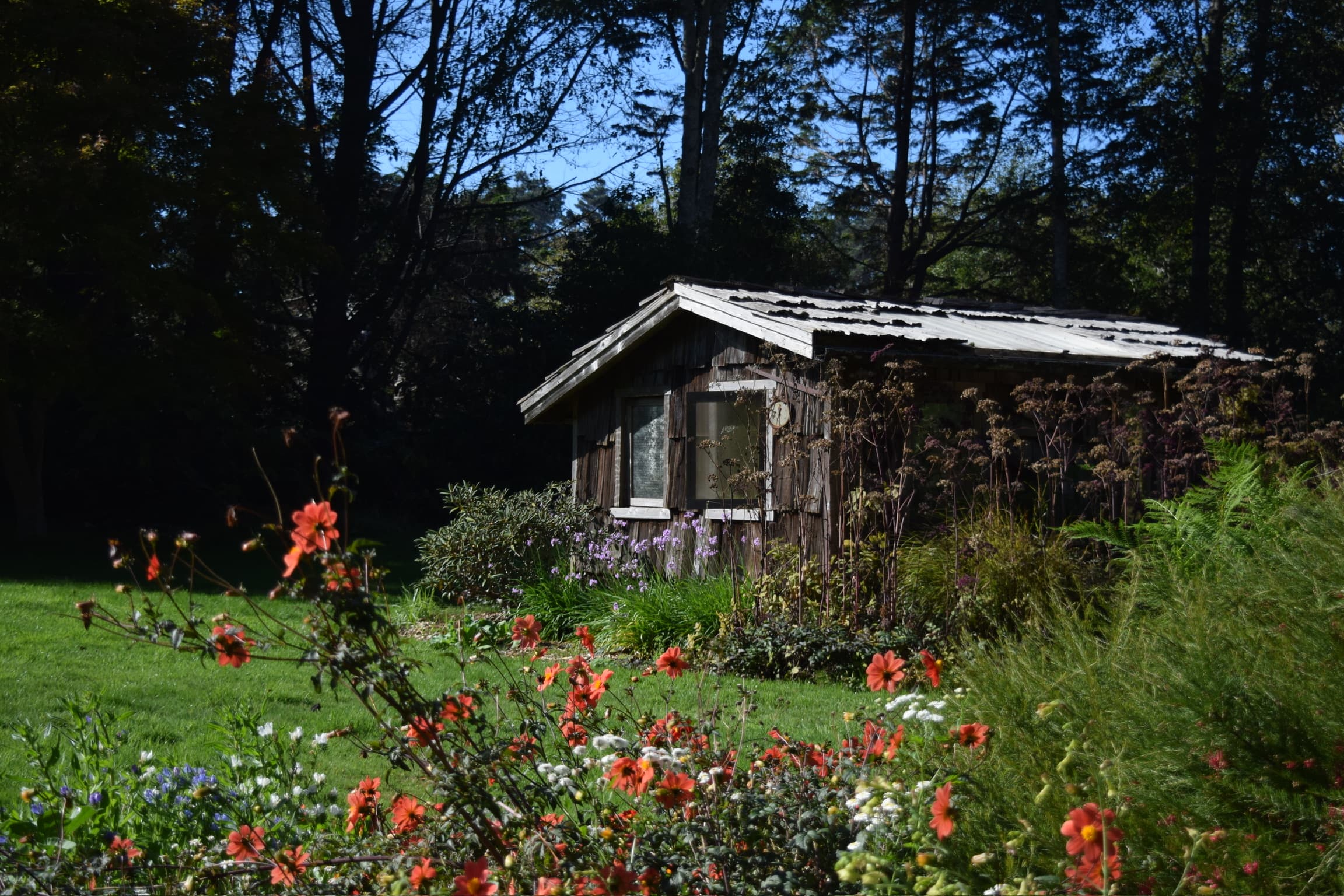 Mendocino