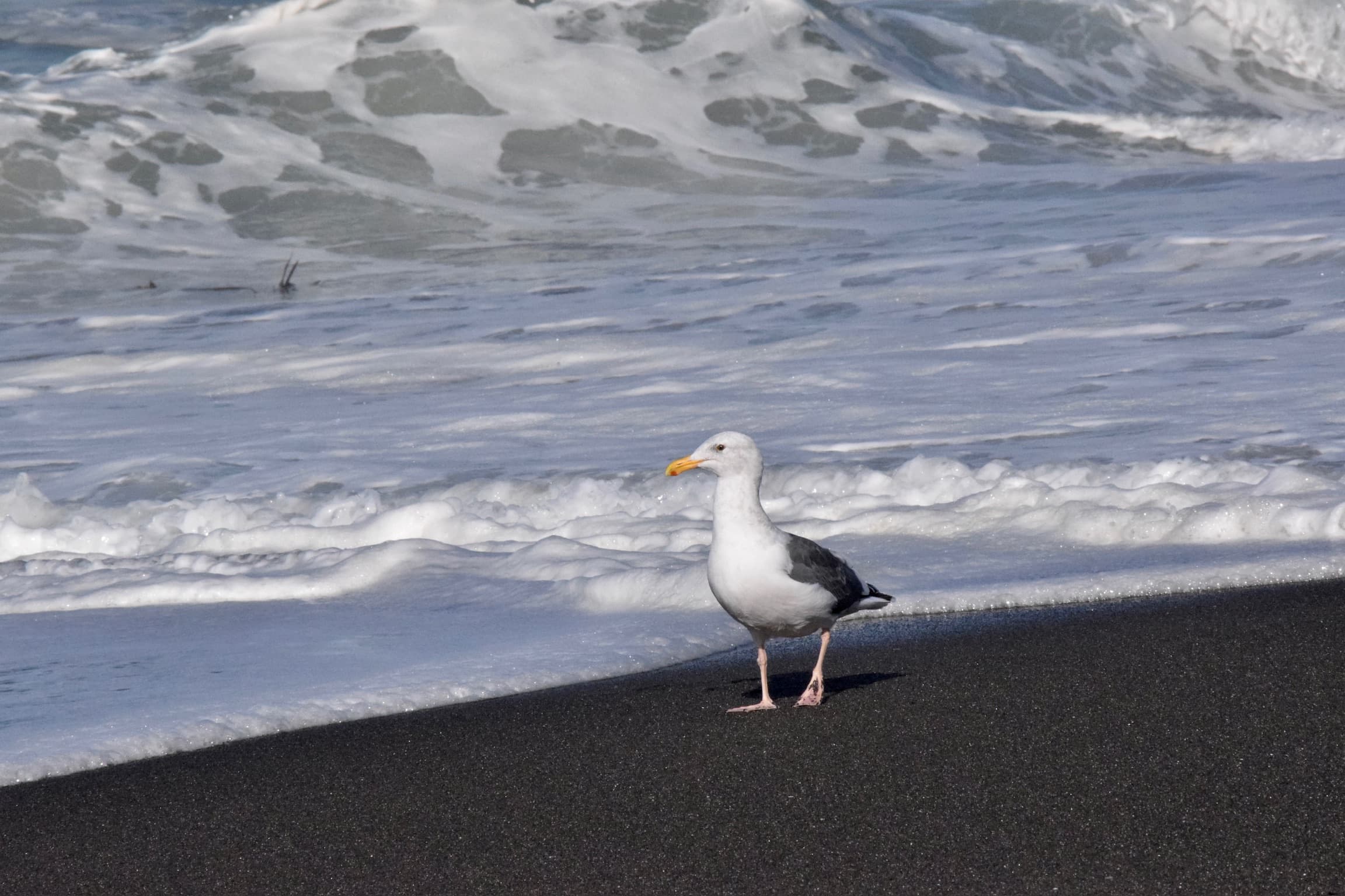 Mendocino