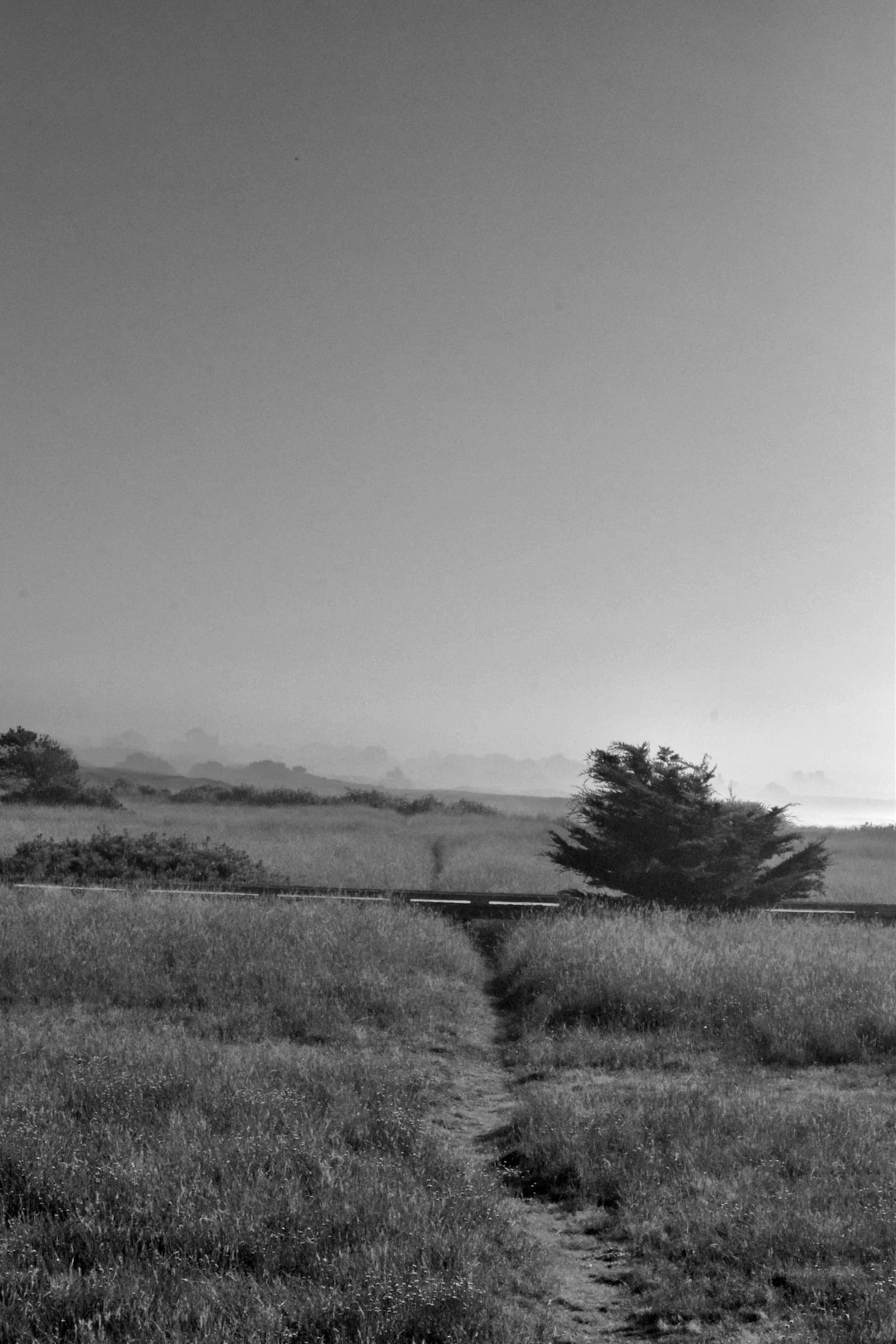 Landscapes