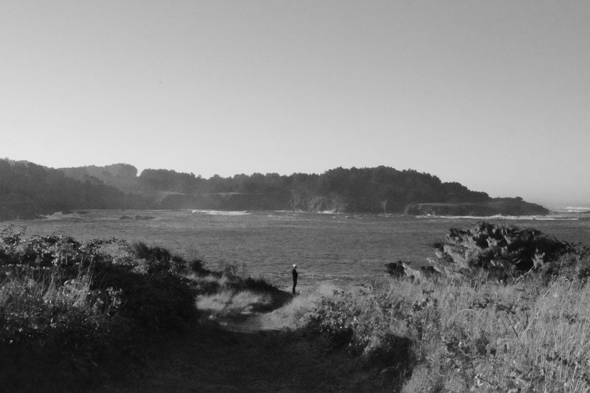 Landscapes