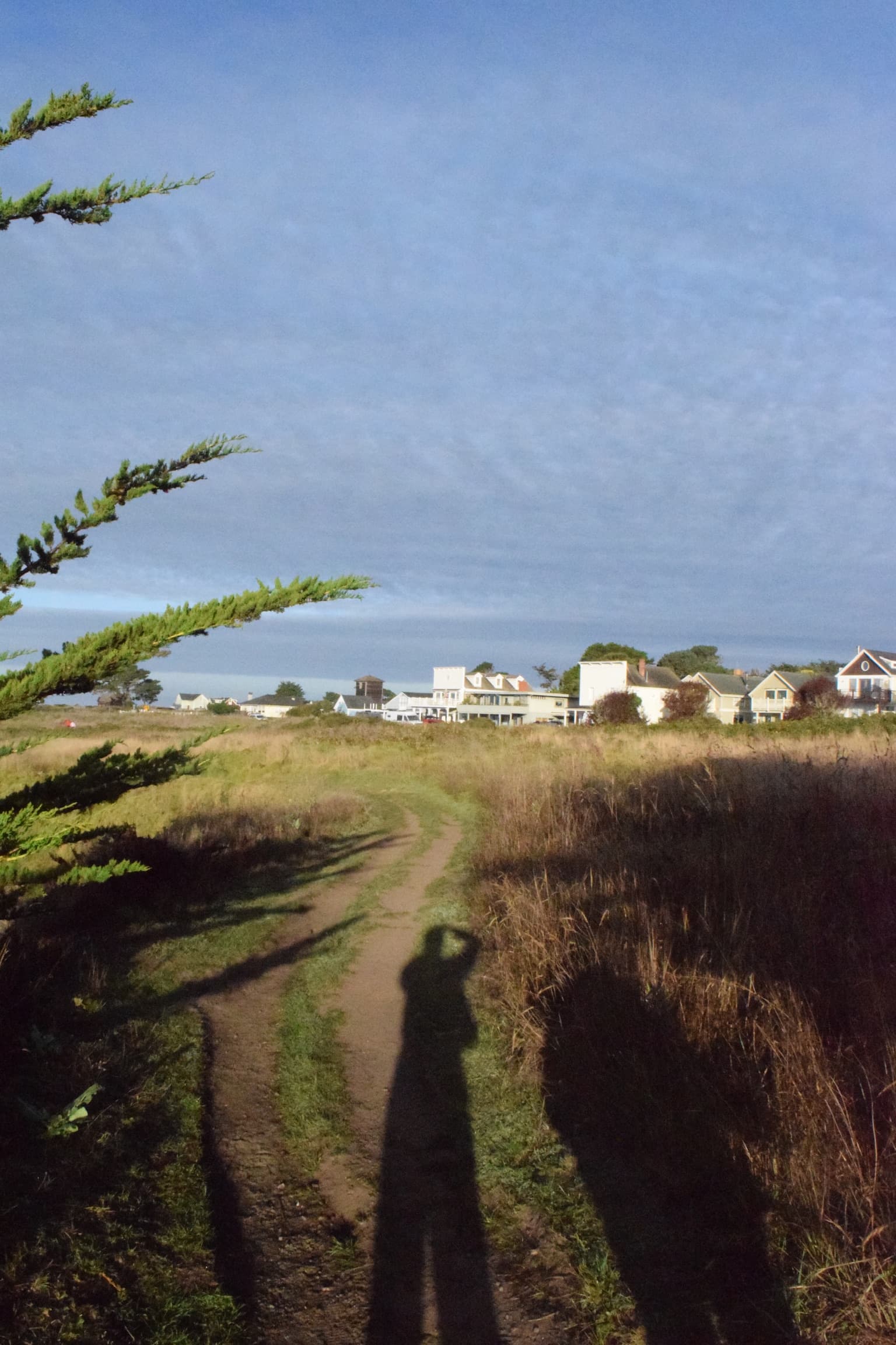 Mendocino