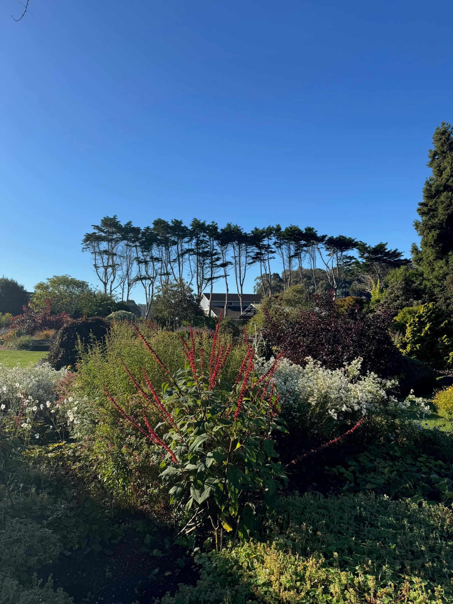 Mendocino