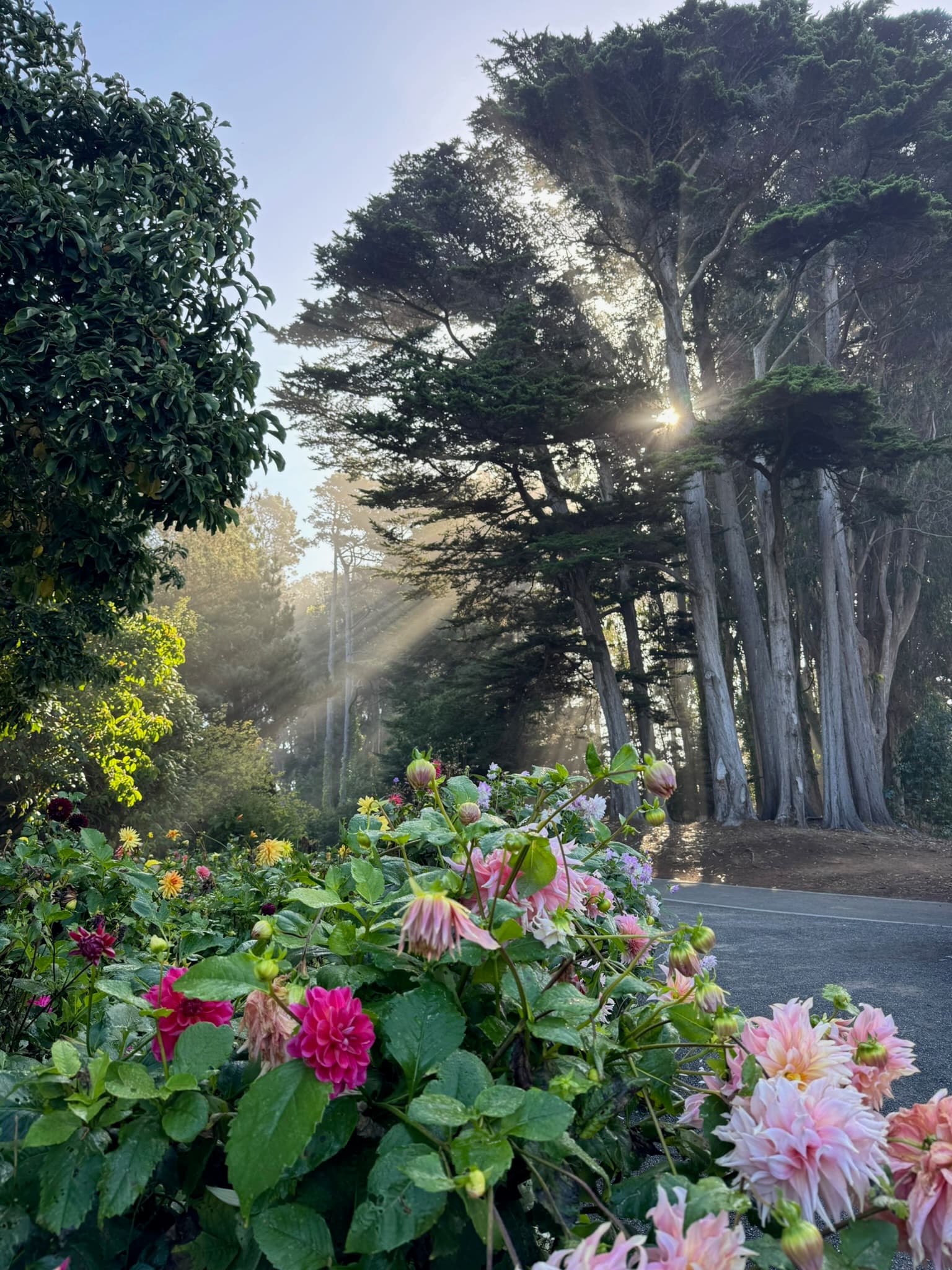 Mendocino
