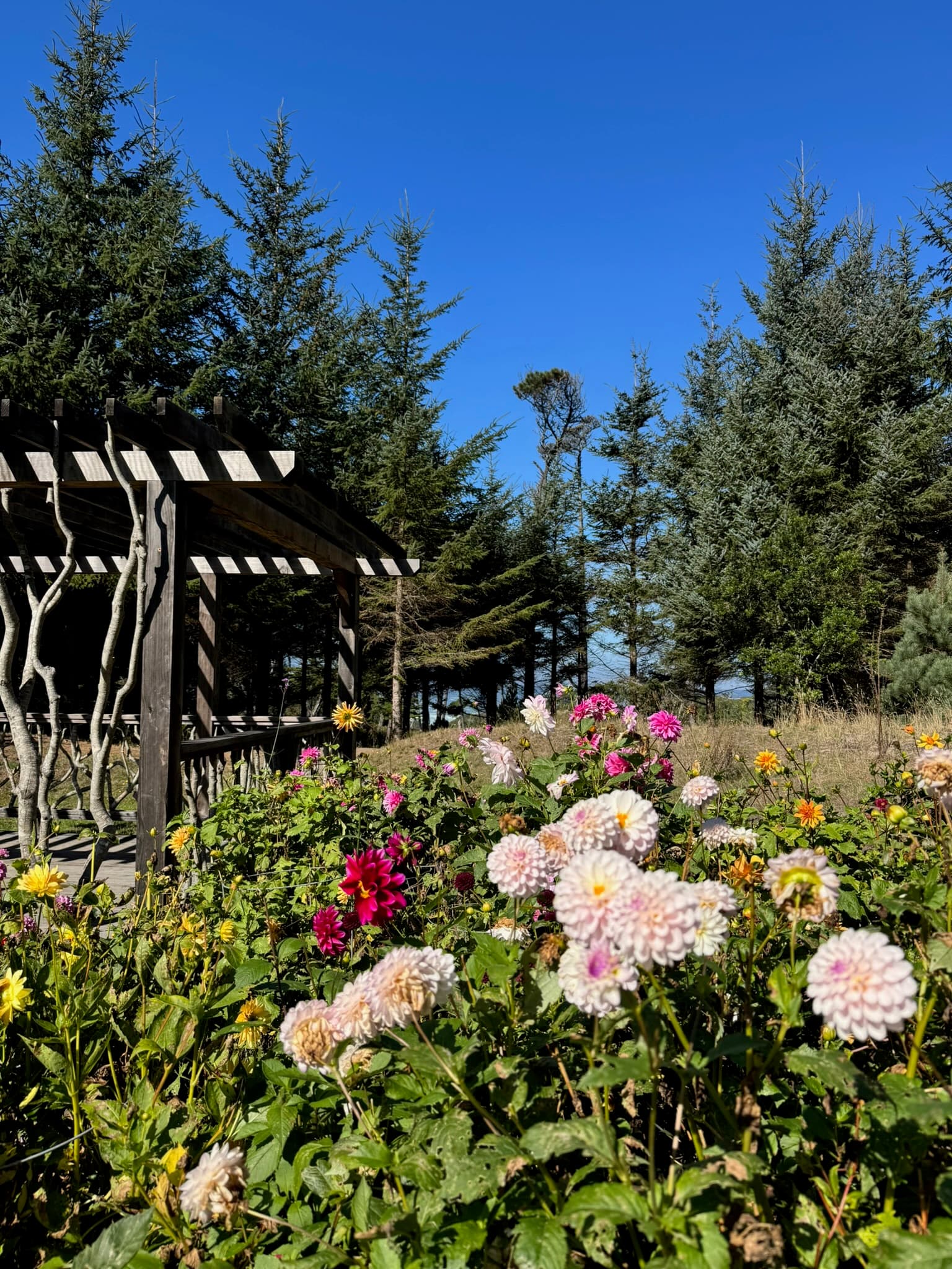 Mendocino