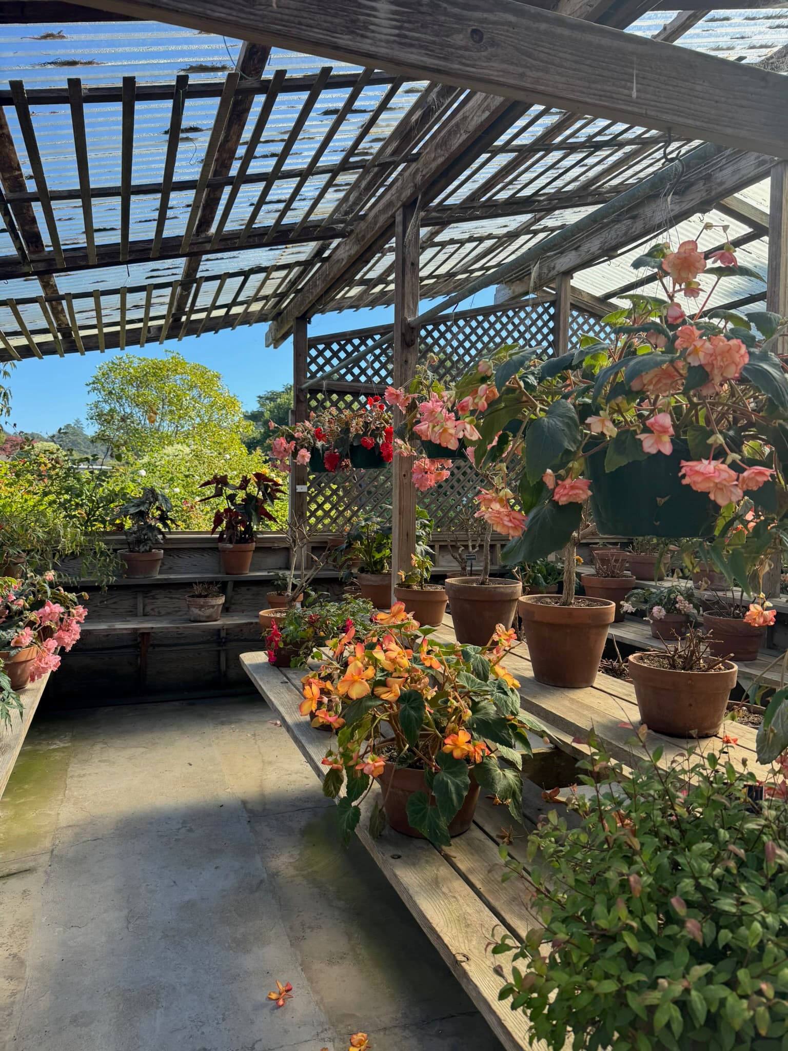 Mendocino