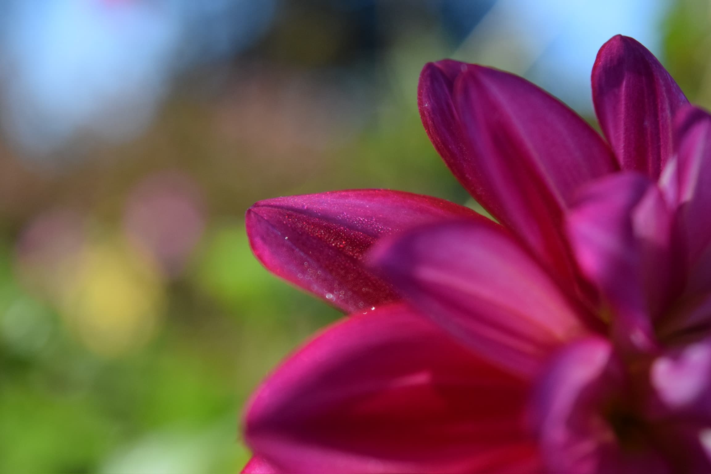 Foliage & Flora